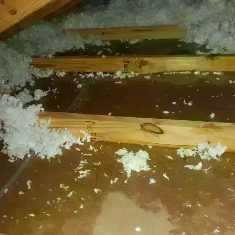 Attic Water Damage in Graham County, AZ