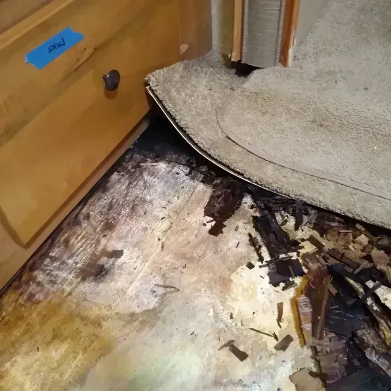 Wood Floor Water Damage in Graham County, AZ